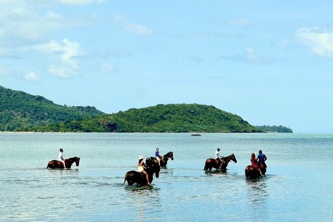 Horse Riding experience by Haras du Morne - Grand Bassin, a sacred Hindu site