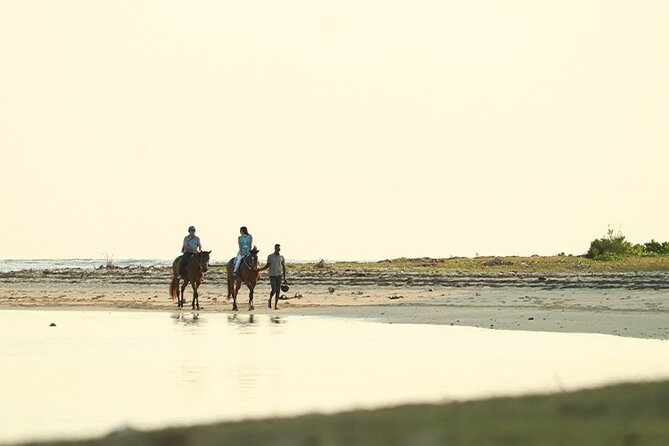 Horse Riding experience by Haras du Morne - Seven Colored Earths at Chamarel