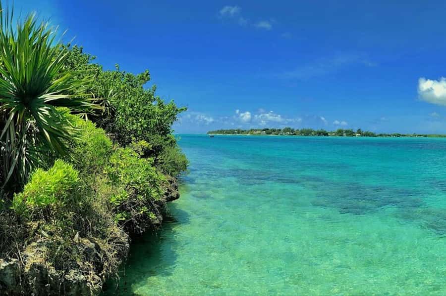 Ile aux Aigrettes Reserve & Blue Bay Glass Bottom Boat - Why Ile aux Aigrettes deserves your morning