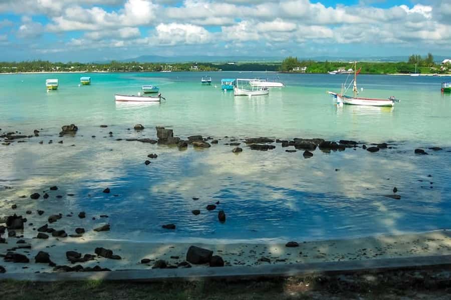 Ile aux Aigrettes Reserve & Blue Bay Glass Bottom Boat - What you may see on the reserve walk