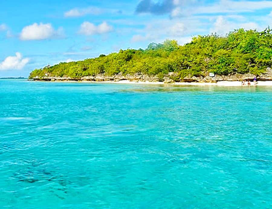 Ile aux Aigrettes Reserve & Blue Bay Glass Bottom Boat - What to pack and how to prepare