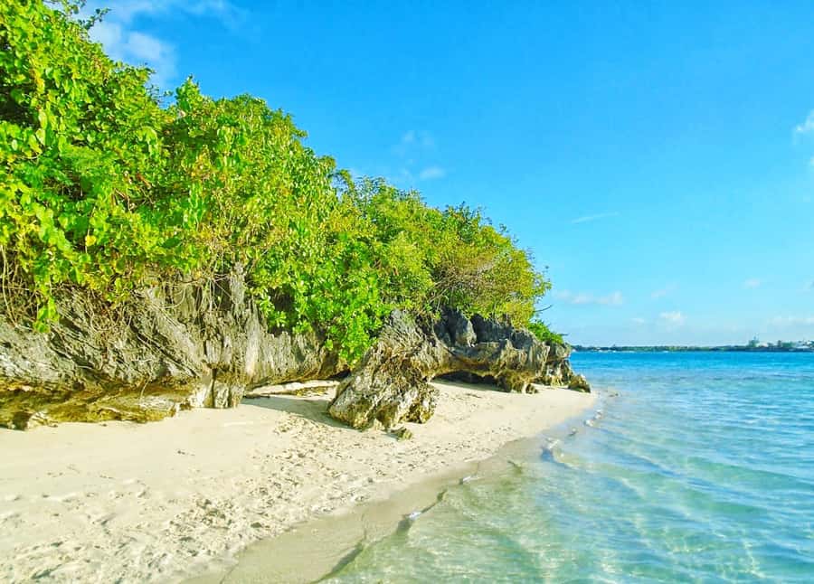 Ile aux Aigrettes Reserve & Blue Bay Glass Bottom Boat - The biggest practical issue: waiting at Pointe Jérome