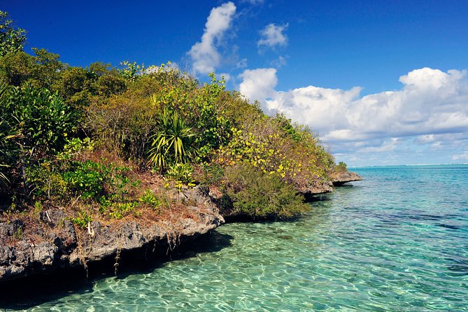 Ile aux Aigrettes - Tea Route - Gris Gris Private Guided Tour (Min. 2 persons) - Key points to know before booking