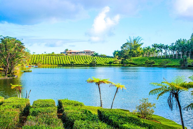 Ile aux Aigrettes - Tea Route - Gris Gris Private Guided Tour (Min. 2 persons) - Saint Aubin, lunch, and colonial Mauritius