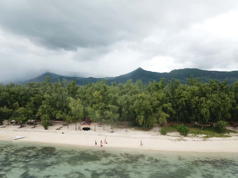 Île aux Bénitiers: Snorkeling w/Dolphins Boat Tour & Lunch - Practical ways to make the day better
