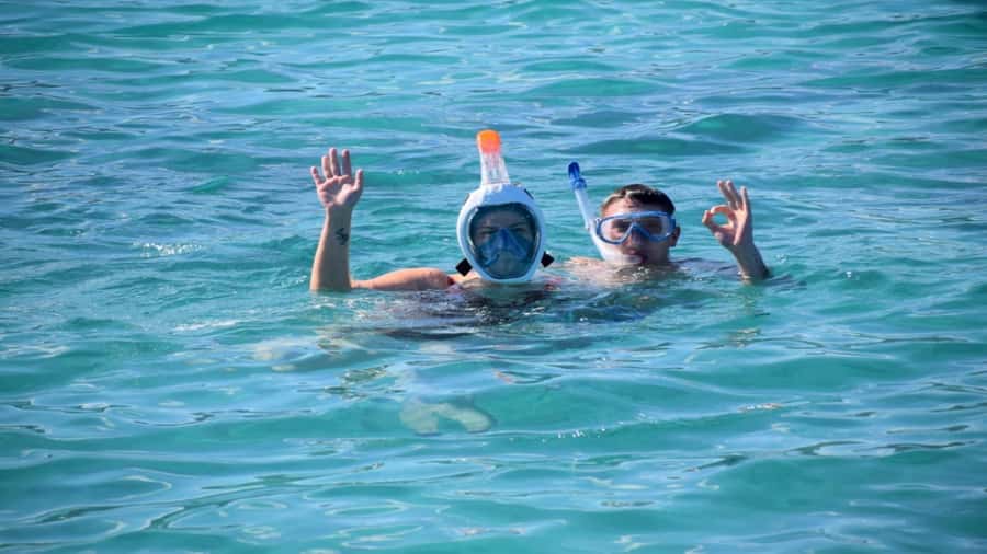 Île aux Bénitiers Snorkeling with Dolphins + Seafood Lunch - Dolphins first, with an early start from Tamarin