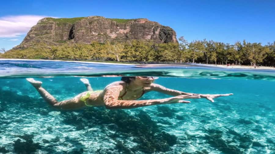 Île aux Bénitiers Snorkeling with Dolphins + Seafood Lunch - Practical advice for a smoother outing