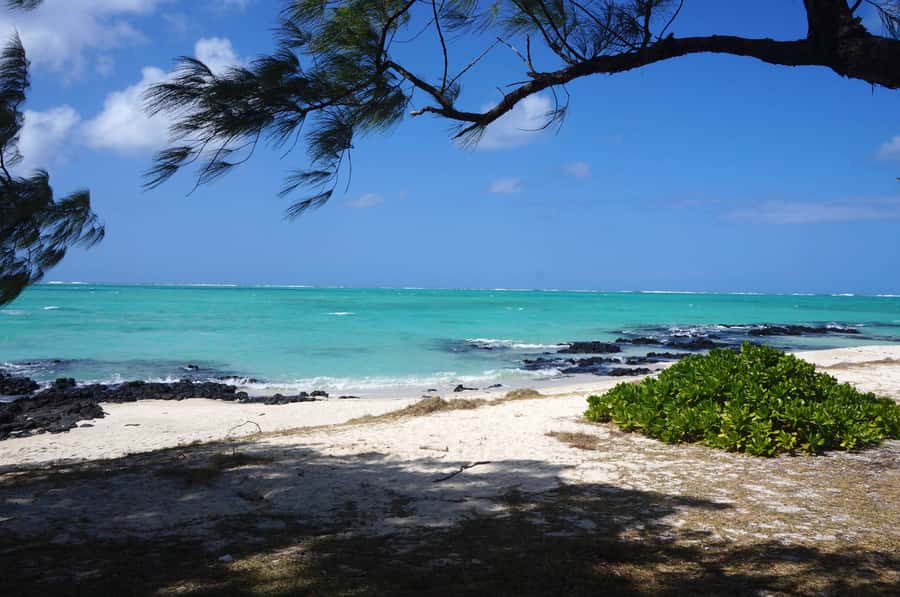 Ile Aux Cerfs Catamaran Cruise sailing from Mahebourg - Eau Bleu Snorkeling and Changing Sea Colors