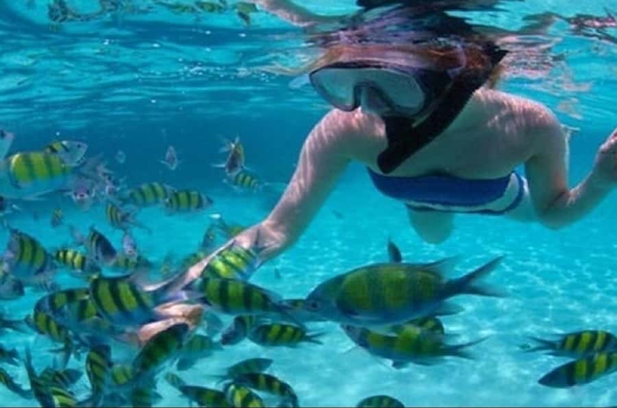 Ile Aux Cerfs Catamaran Cruise with Pick-up/Drop-off & Lunch - Key points to know before booking
