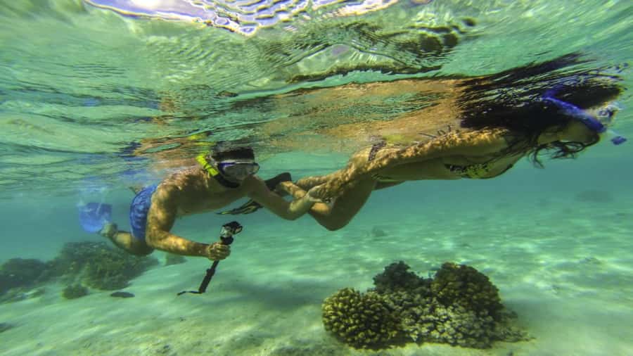 Ile Aux Cerfs Catamaran Trip w/ Lunch, Drinks & Transfer - Snorkeling in clear lagoon water