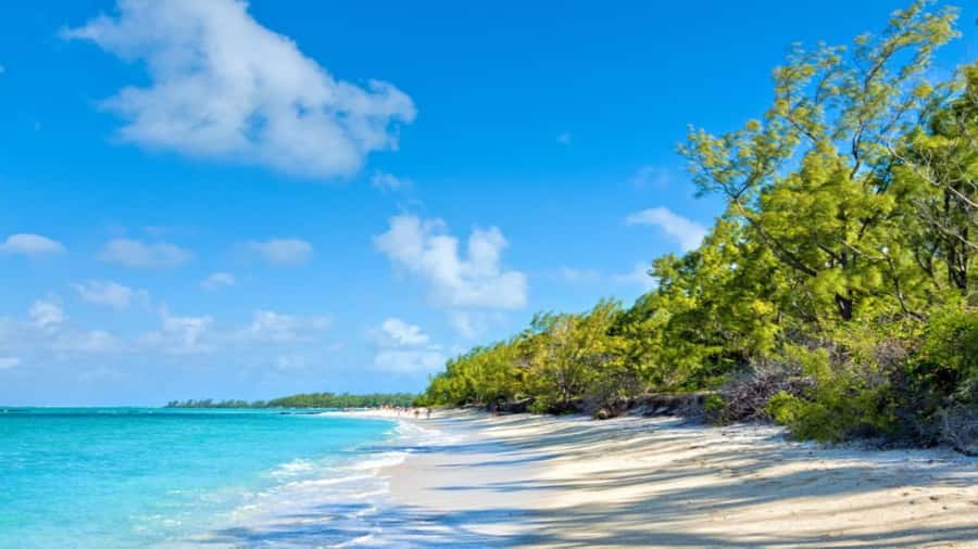 Ile Aux Cerfs Catamaran Trip w/ Lunch, Drinks & Transfer - Ile aux Cerfs and its picture-postcard beaches