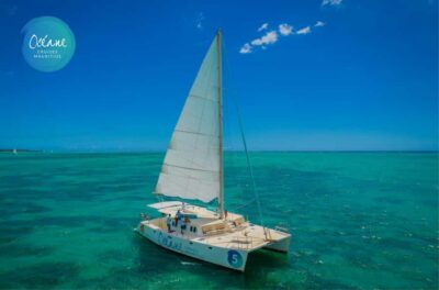 Private Catamaran Cruise with Gourmet Lunch