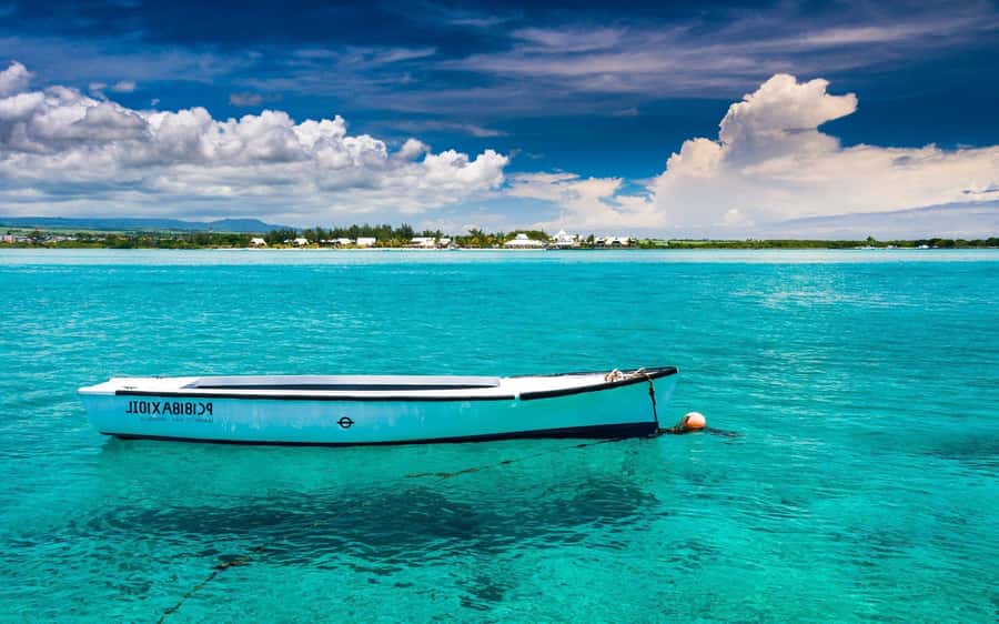 Ile aux cerfs: Private picnic, waterfall, bbq beach lunch - Ile aux Cerfs, with room to get away from the main beach