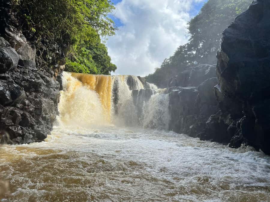 Ile aux cerfs: Private picnic, waterfall, bbq beach lunch - Snorkeling at your own pace