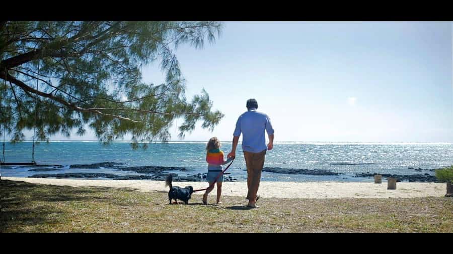 Ile aux cerfs: Private picnic, waterfall, bbq beach lunch - Why the private format can be worth $329