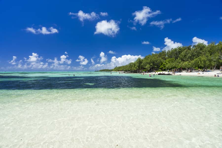 Ile aux Cerfs Speedboat Trip & Transport: Private or Shared - A six-hour plan built around Ile aux Cerfs