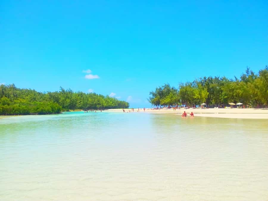 Ile aux Cerfs Speedboat Trip & Transport: Private or Shared - Practical details for a smoother day