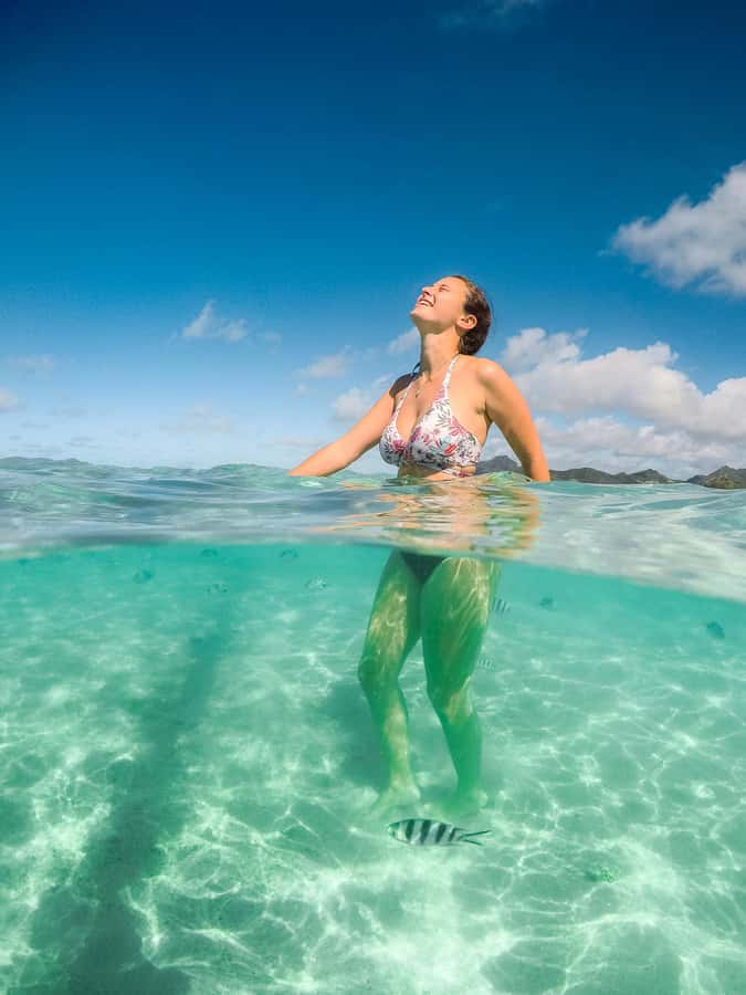 Ile aux Cerfs: The very best day by catamaran. - Grand River South East Waterfall by catamaran