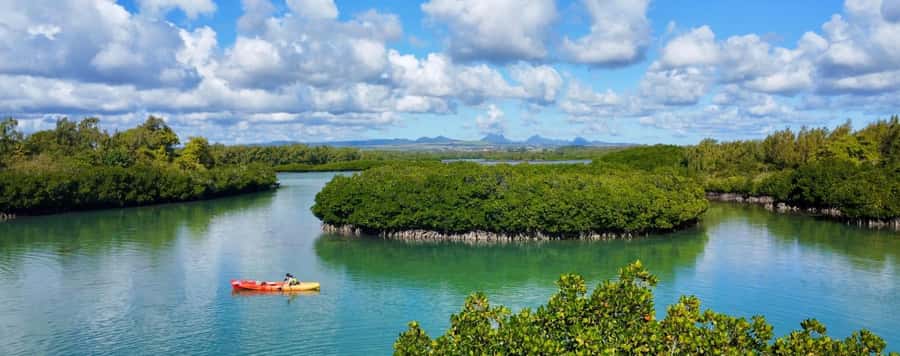 Ile d Ambre Kayaking - Why the mangroves make this kayak trip different