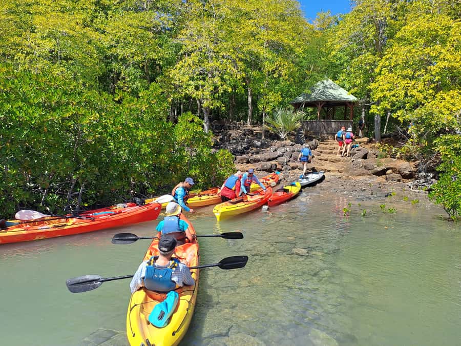 Ile d Ambre Kayaking - Paddling through the mangrove channels