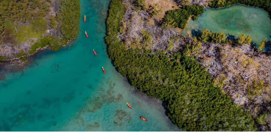 Ile d Ambre Kayaking - A swim or snorkel stop in the middle