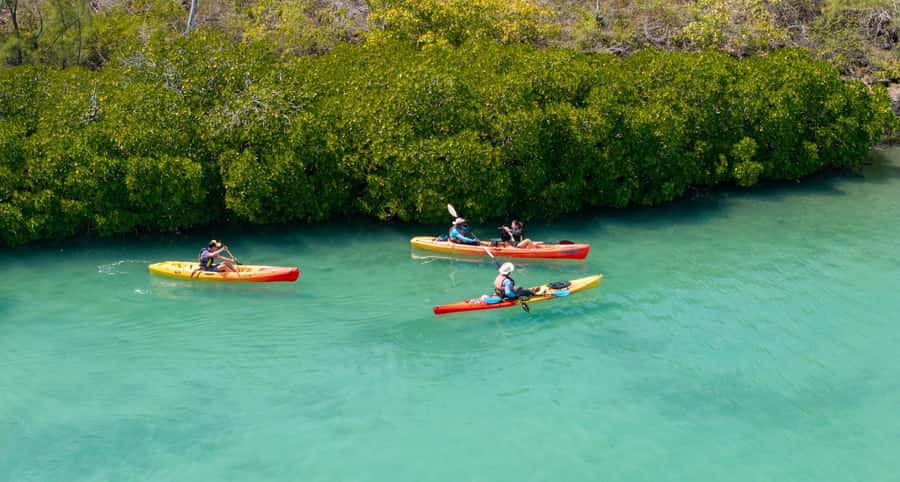 Ile d Ambre Kayaking - Who will enjoy this outing most