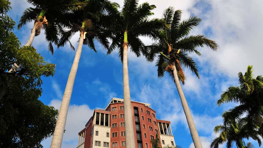 Insta-Worthy City Tour: Unveil Picture-Perfect Spots - Central Market and everyday Port Louis