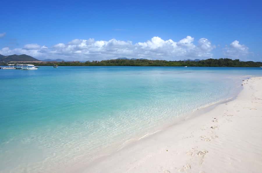 La Preneuse: Dolphin Swimming and Snorkeling Speedboat Trip - The dolphin encounter: exciting, fast, and not fully predictable