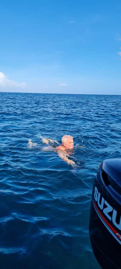 La Preneuse: Dolphin Swimming and Snorkeling Speedboat Trip - Is $47 a fair price?