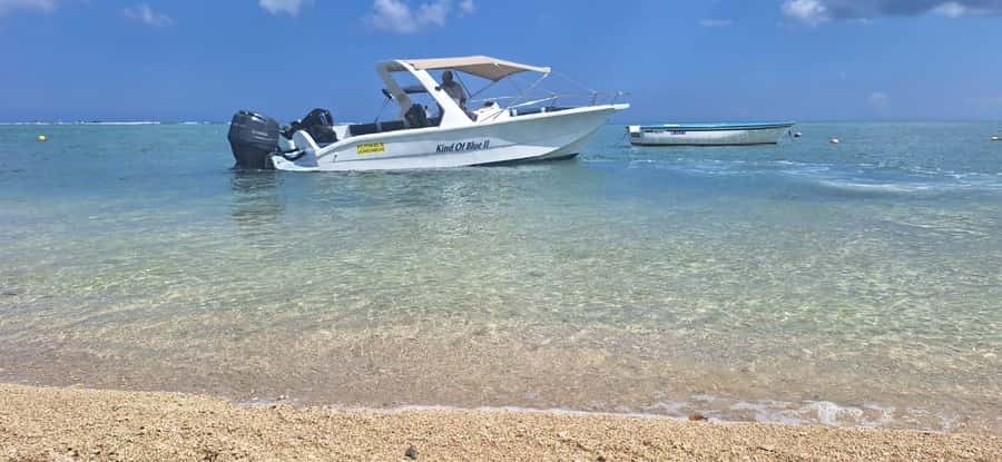 La Preneuse: Dolphin Watching and Snorkeling Speedboat Tour - What to bring for comfort and safety