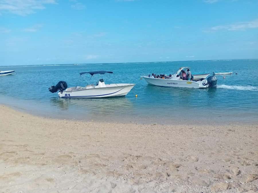 La Preneuse: Dolphin Watching and Snorkeling Speedboat Tour - The best fit for this La Preneuse outing