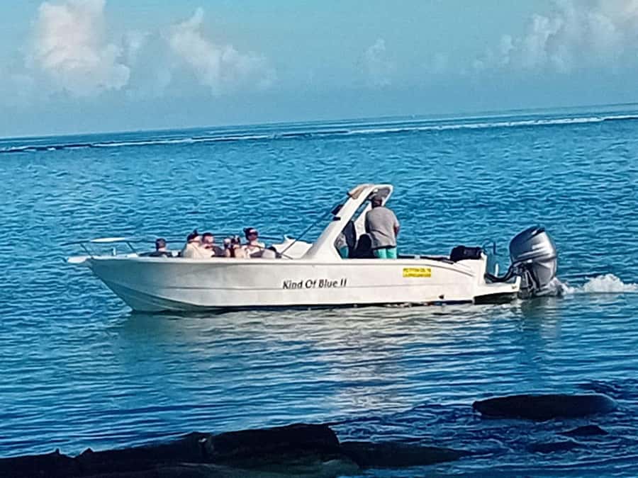 La Preneuse: Dolphin Watching and Snorkeling Speedboat Tour - Booking, timing, and value