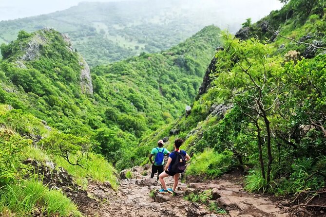 Le Morne Brabant Hike A Journey Through History - The coastal opening and its plant life