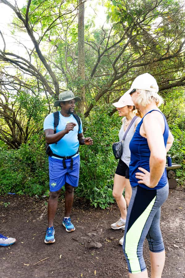 Le Morne Brabant: UNESCO Mountain Hike & Local Guides - Plan for water, sun, and a slow pace