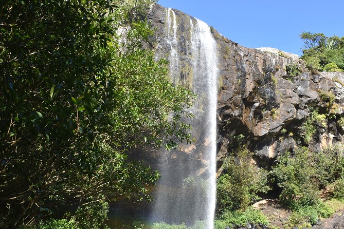 Les septs Cascades Tamarind Falls - The value of a $57.72 guided outing