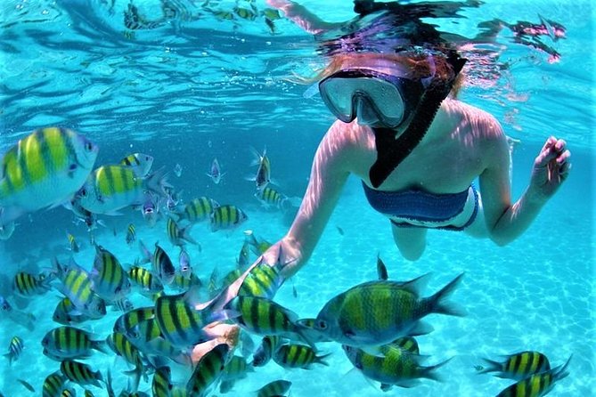 Luxury All-Inclusive Catamaran Cruise to Ile aux Cerfs and GRSE Waterfall - Practical details that make the day easier