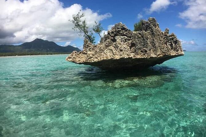 Lydia Boat Mauritius :Private boat tour:Whales&Dolphins encounter - Weather, timing, and what to pack