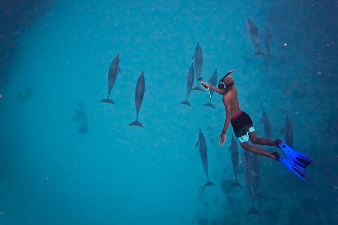 Lydia Boat Mauritius :Private boat tour:Whales&Dolphins encounter - Who will enjoy this Mauritius boat tour most