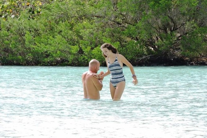 Marvelous Ile aux Cerf island: Speed Boat, Parasailing, Lunch & GRSE waterfall - What the $138.60 price covers