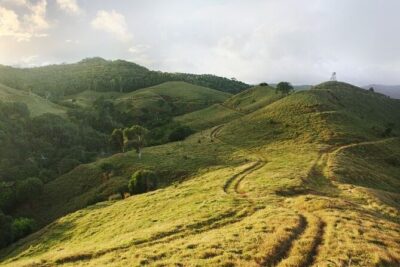 2 Hours Buggy Ride – Bel Ombre Nature Reserve