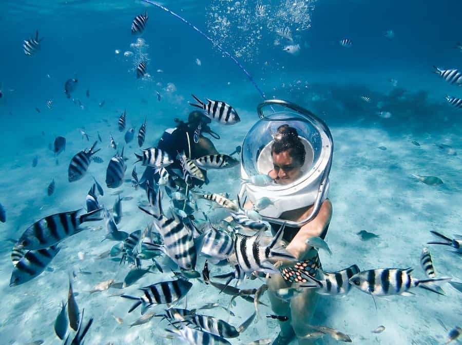 Mauritius: 3 Activities + Ile aux Cerfs Boat tour w/ BBQ - Belle Mare starts with three different kinds of fun