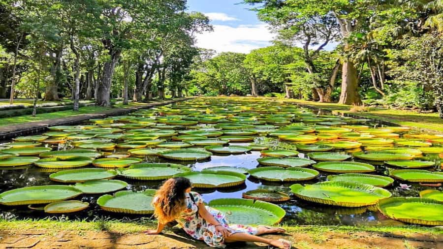 Mauritius: 3 Days Private Authentic Tour with hidden gems - The guide can shape the whole experience