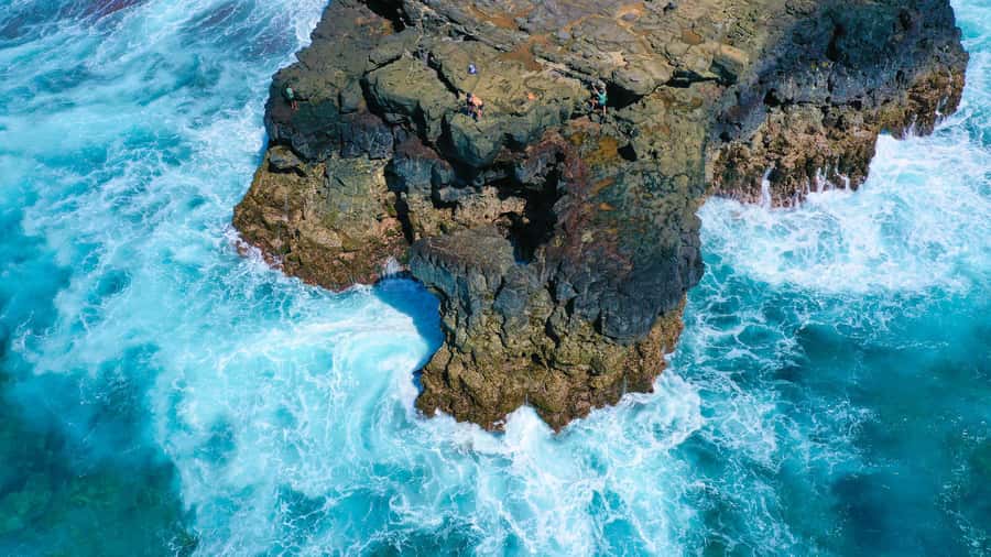 Mauritius: 3-Hour Hiking the Wild South Excursion - Forest trails and the changing terrain of the south