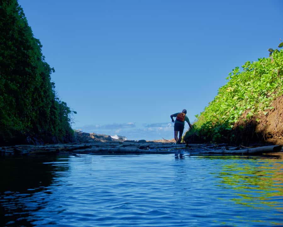 Mauritius: 3-Hour Hiking the Wild South Excursion - Rivers, wet shoes, and the practical side of the hike