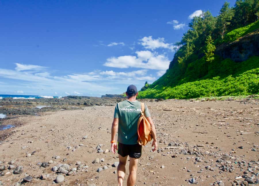 Mauritius: 3-Hour Hiking the Wild South Excursion - Is $64 a fair price for three hours?