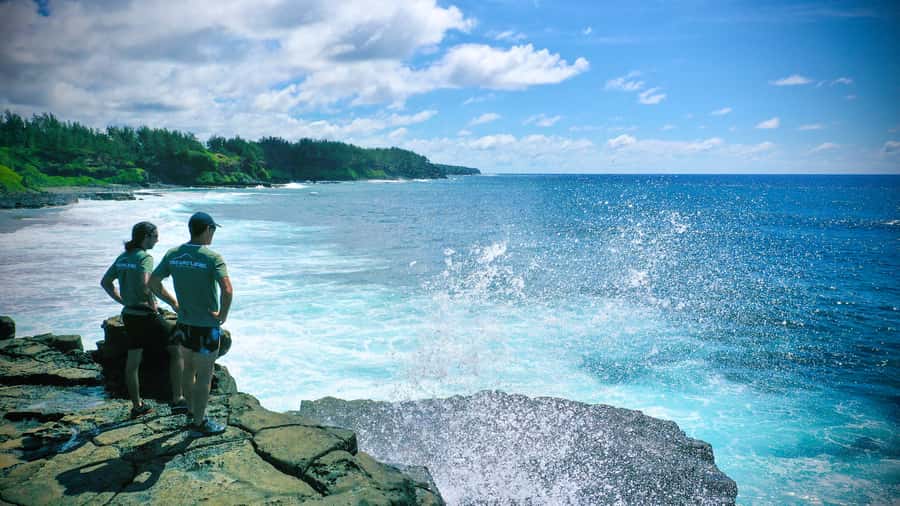 Mauritius: 3-Hour Hiking the Wild South Excursion - My recommendation for the wild south