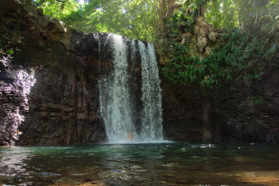 Mauritius: 3-Hour Hiking the Wild South Excursion - Waterfalls and natural pools for a swim