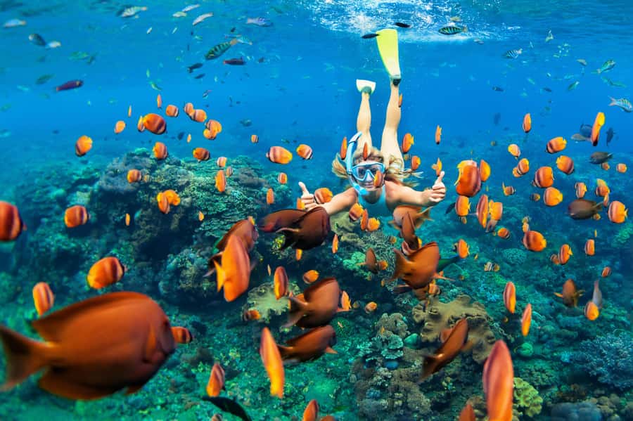 Mauritius: 5 East Coast Islands Tour with Snorkeling & Lunch - Speed, spray, and the reality of the boat