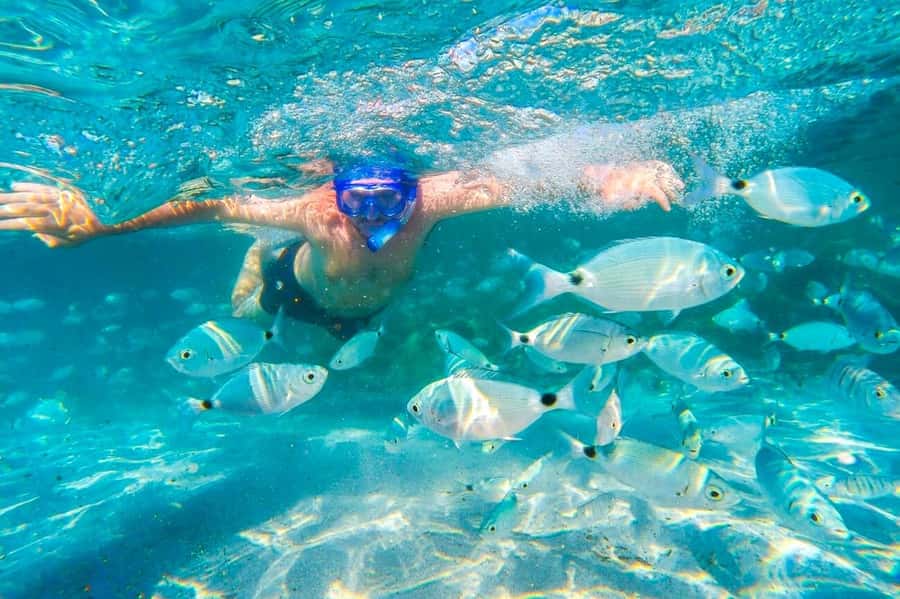 Mauritius: 5 East Coast Islands Tour with Snorkeling & Lunch - Returning to Ile aux Cerfs for beach time