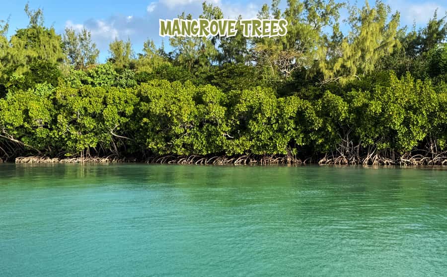 Mauritius: 5 Islands of the East Speedboat Tour with BBQ - Why This Seven-Hour East Coast Route Works